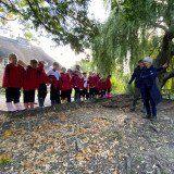 Year 4 at Fishbourne Meadows