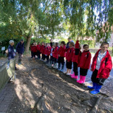 Year 4 at Fishbourne Meadows