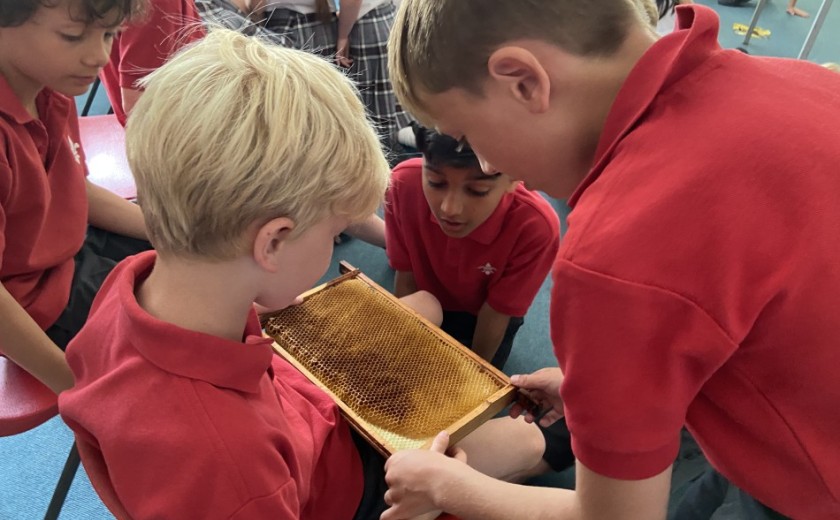 beekeeper visit to the school