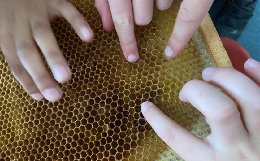 beekeeper visit to the school