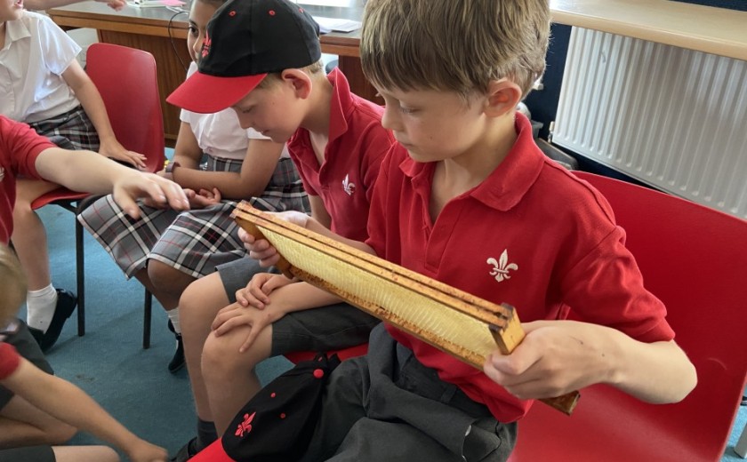 beekeeper visit to the school