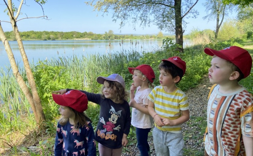 Children point at wildfowl on Westbourne House School lake