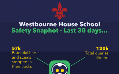 snapshot of activity