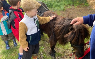 pony visit for nursery 
