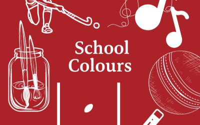 school colours graphic